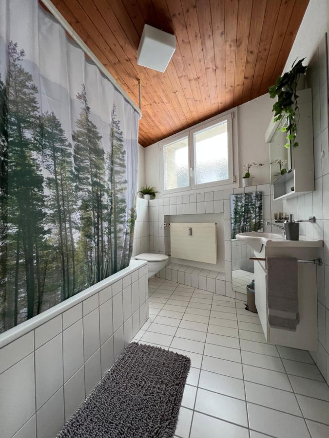 Ferienwohnung Dorfzentrum ディセンティス エクステリア 写真